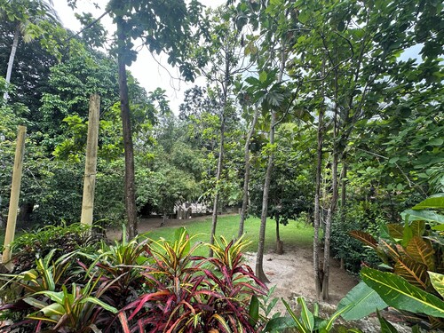 hostal y camping villa guadua tayrona
