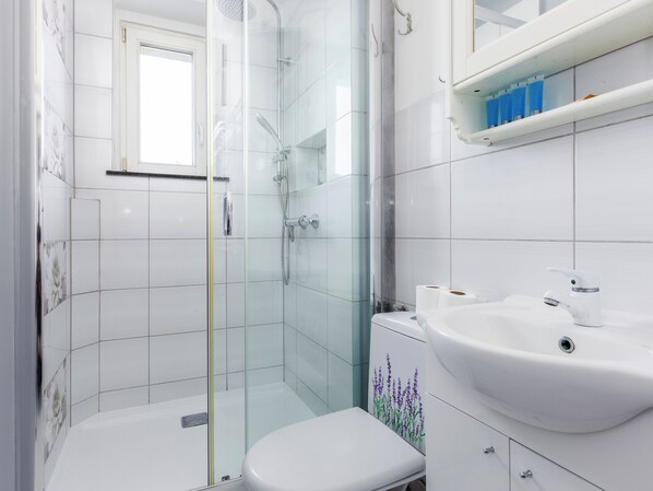 Shower, hair dryer, towels, soap