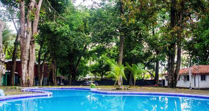 Ocean Breeze // Sunzal Surf City