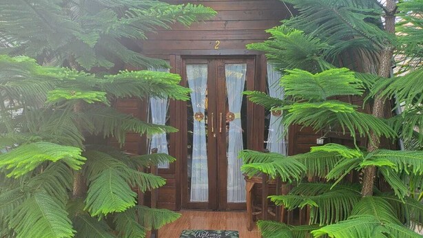 A wooden cabin with a number '2' above the door, surrounded by lush green ferns. - Jambu Guest House  (Penida Island)