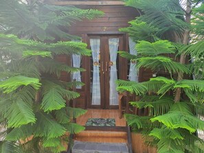 Una cabaña de madera con el número '2' sobre la puerta, rodeada de helechos verdes exuberantes.