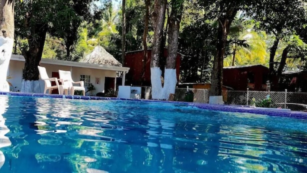 En klar och inbjudande pool omgiven av träd och en byggnad med ett halmtak.