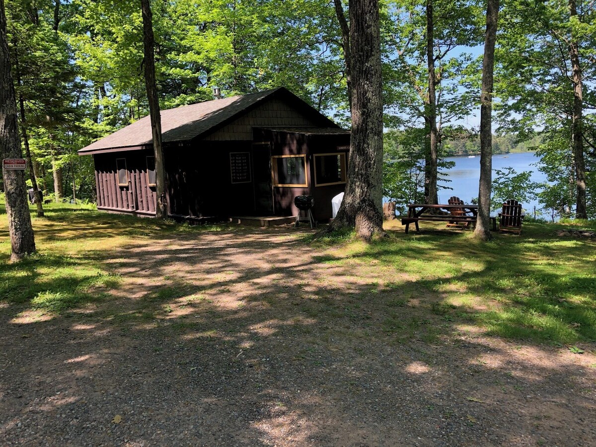 Imagen de perfil del propietario o de la propietaria