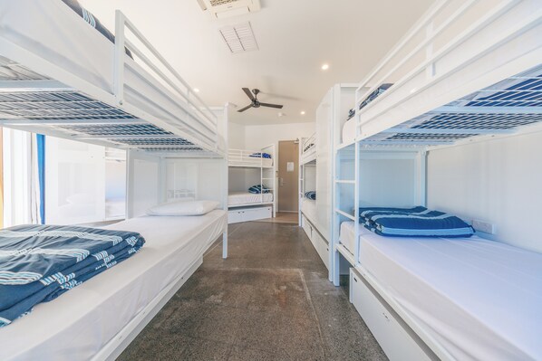 A dormitory room with bunk beds, a ceiling fan, and a window with blinds. - Maze Backpackers Gold Coast (Surfers Paradise)