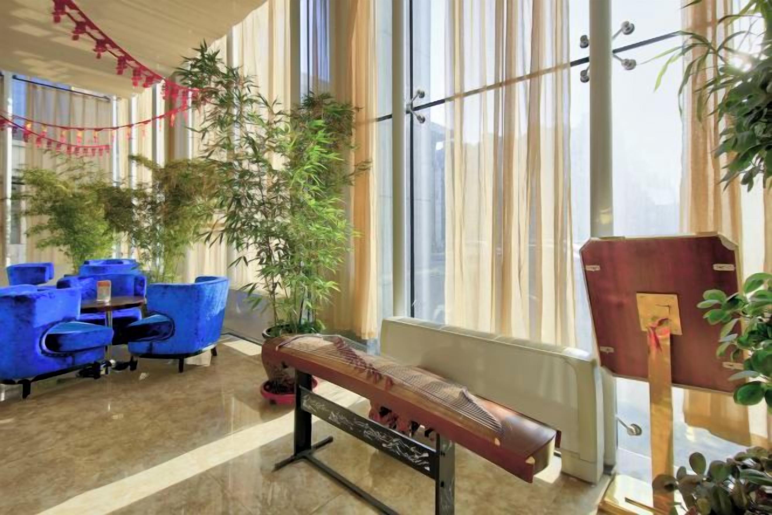A room with a long bench, blue chairs, and potted plants.