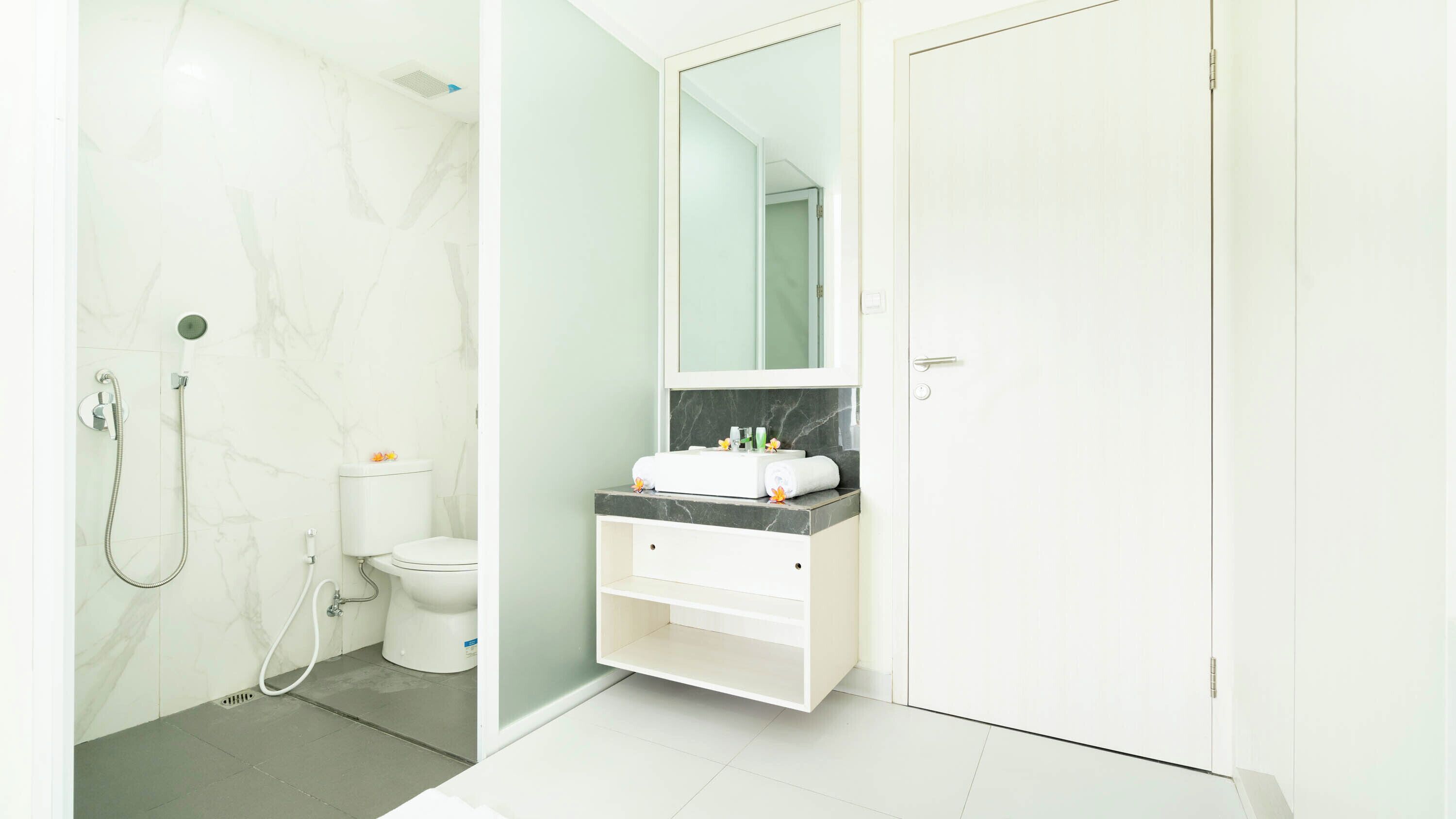 Deluxe-Apartment, Kochnische | Badezimmer | Dusche, Handtücher, Seife, Shampoo