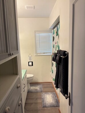 Shower, hair dryer, towels, soap