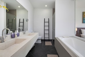 Hair dryer, towels, soap, shampoo