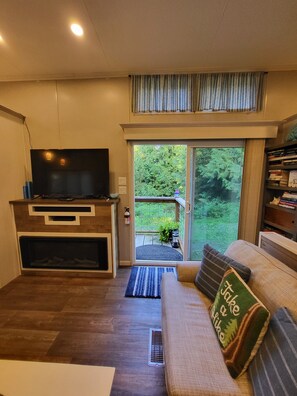 TV, fireplace, DVD player, books