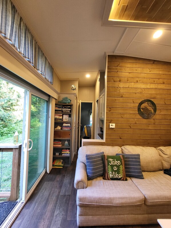 TV, fireplace, DVD player, books