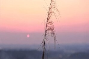 Unclassified image, 5 of 80, button - Dongjiang Lake Simple Holiday Villa (Zixing)