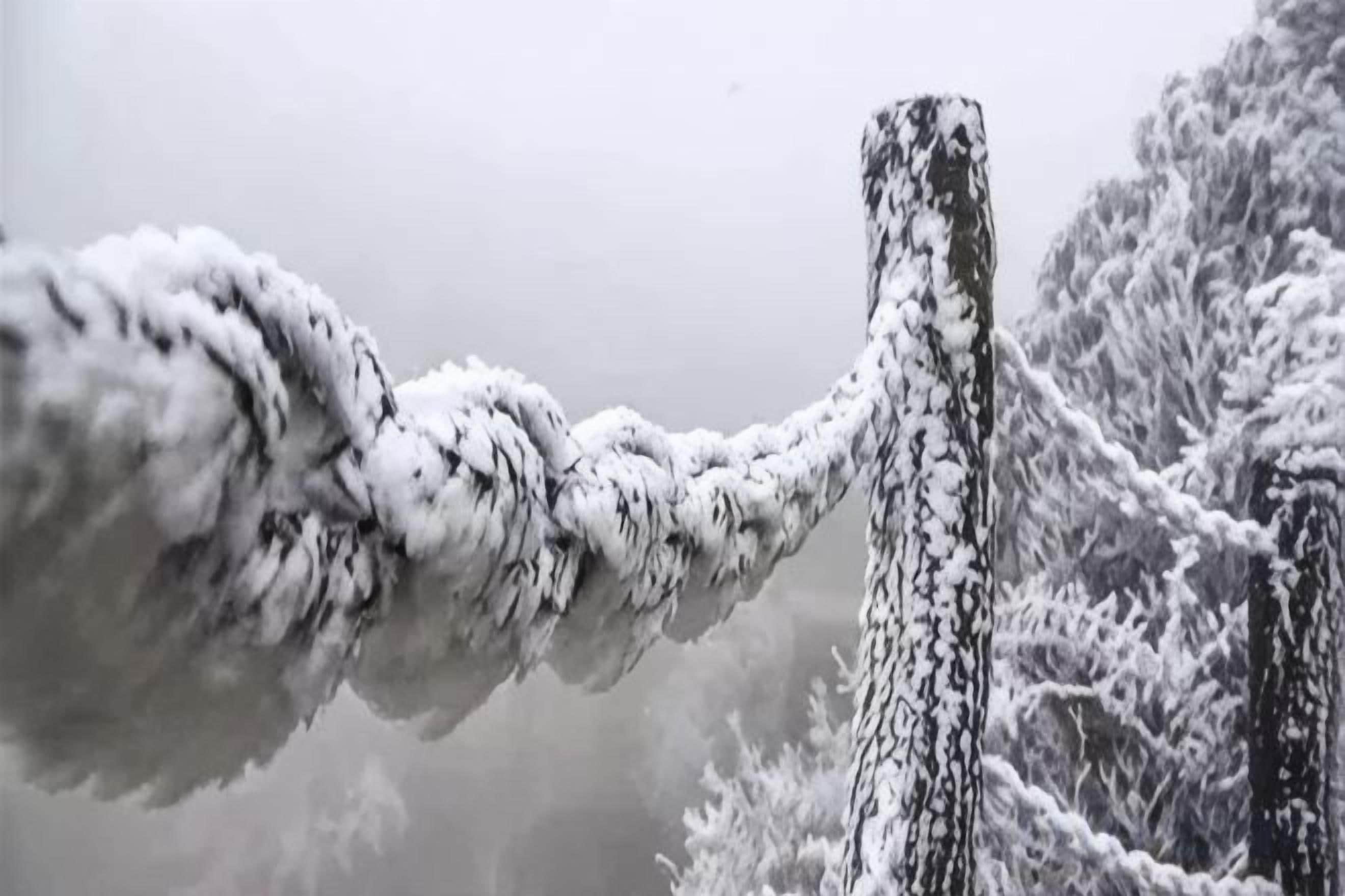 A snow-covered rope bridge in a forest.