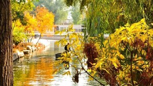 A serene riverside scene with autumn foliage, a bridge, and a calm water body. - Ningwozhuang Hotel (Building 1) (Lanzhou)