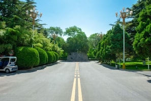 Una carretera con línea amarilla doble, bordeada por setos y árboles bien cuidados, que conduce a una colina rocosa.