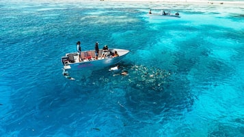 Divers