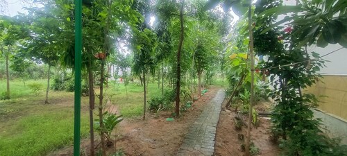 A farmhouse stay - Live amidst nature