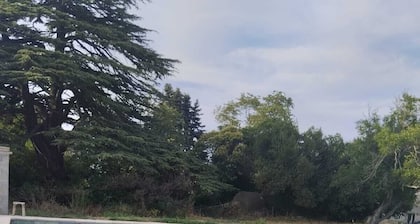 Mas Provençal à 10 Minutes de Nîmes. Animaux de Compagnie Acceptés !