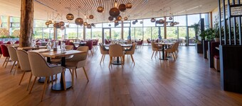 Serene Forest Escape