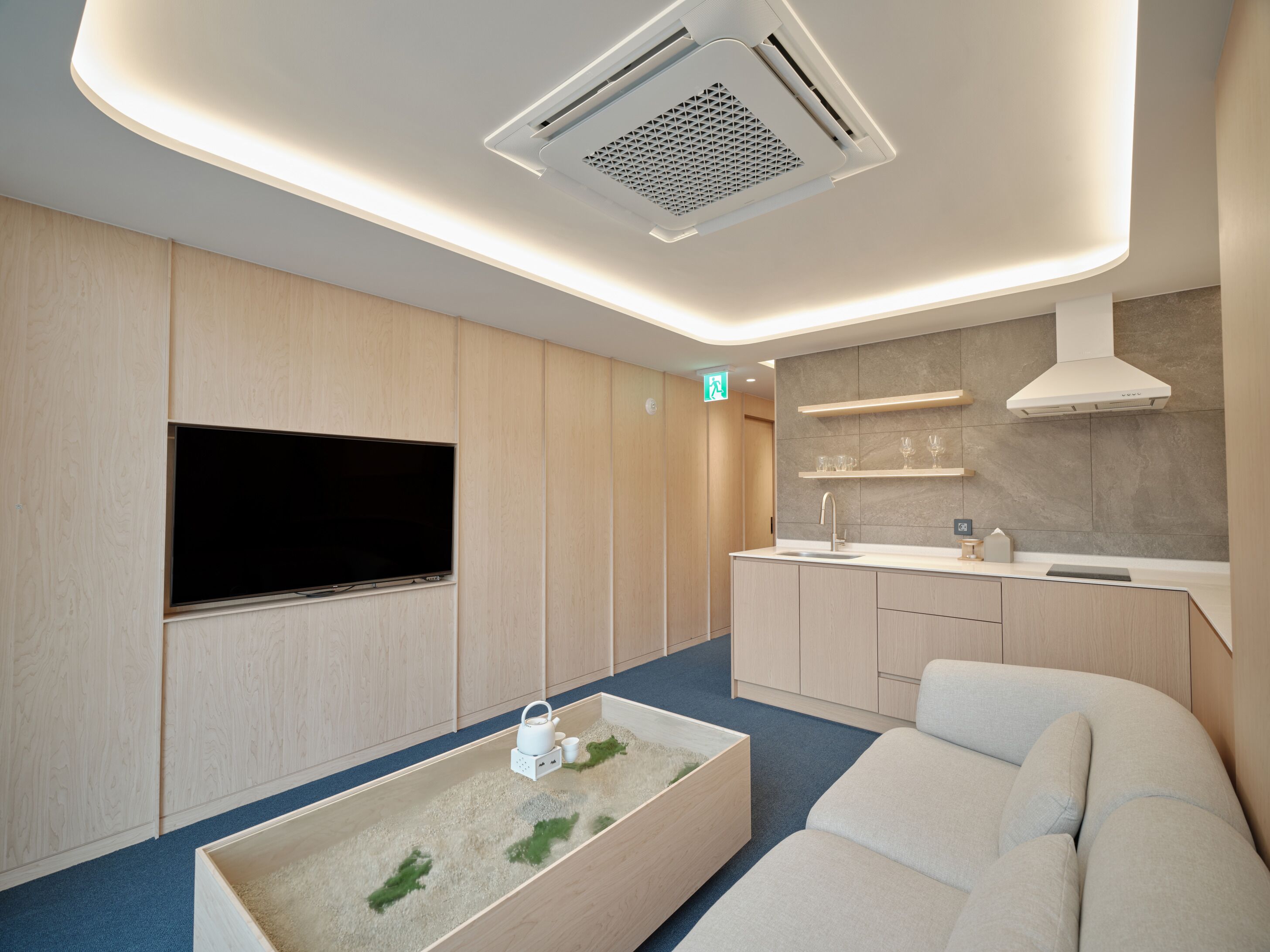 Una camera d'hotel moderna con televisione a schermo piatto, un angolo cottura, un divano e un originale elemento decorativo in muschio sul tavolino.