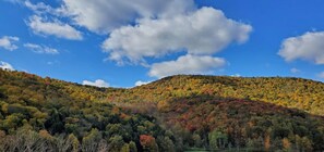 Signature House, Patio, Mountain View | View from room - Catskill Retreat (Hamden)