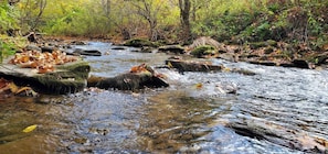 A natural stream with rocks and fallen leaves. - Catskill Retreat (Hamden)