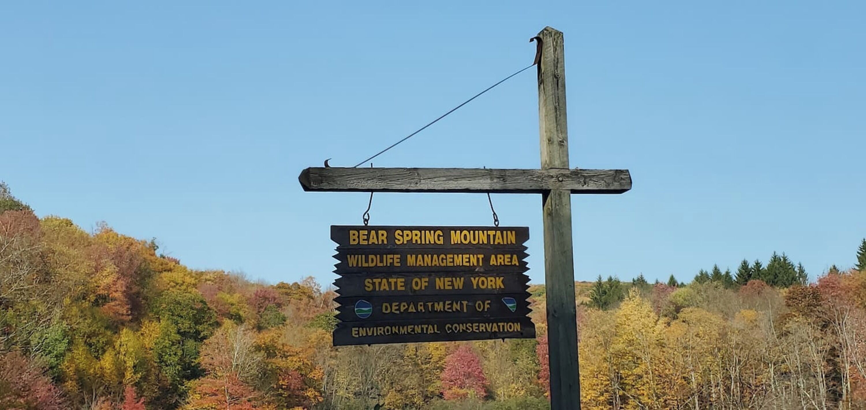A wooden signpost with a yellow sign indicating Bear Spring Mountain Wildlife Management Area in New York State, Department of Environmental Conservation.