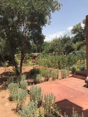 Property grounds - Villa Quince spacious  6 bedrooms & pool in awesome valley of Ouirgane, Atlas (Ouirgane)