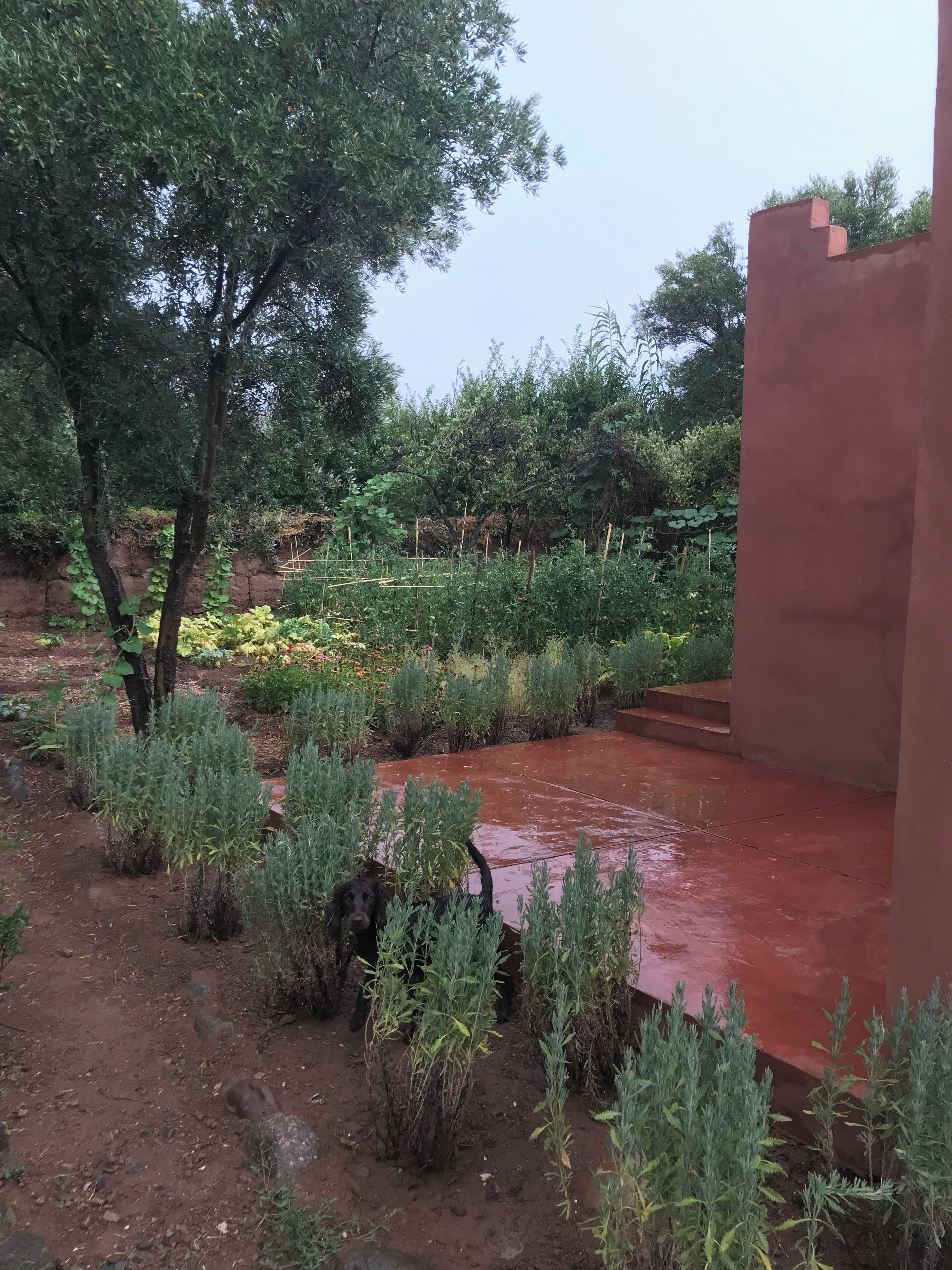 Jardines del alojamiento