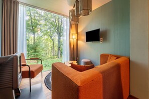 Téléviseur connecté, foyer