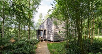 Stylish Forest Mansion Stay