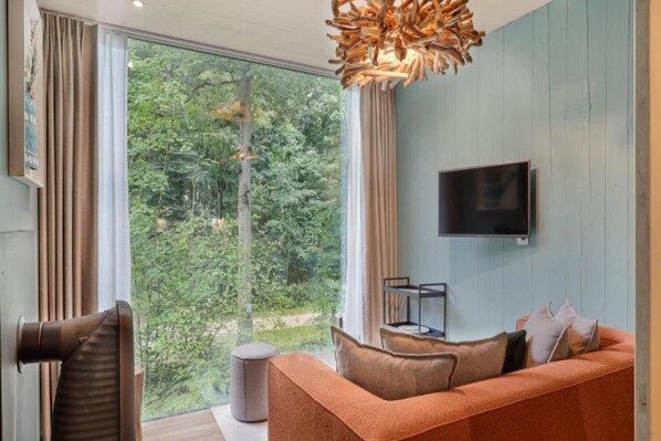 Smart TV, fireplace, books