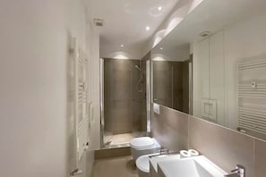 Shower, hair dryer, bidet, towels
