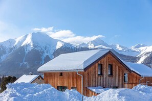 Exterior - Amazing chalet with outdoor whirlpool (Hohentauern)
