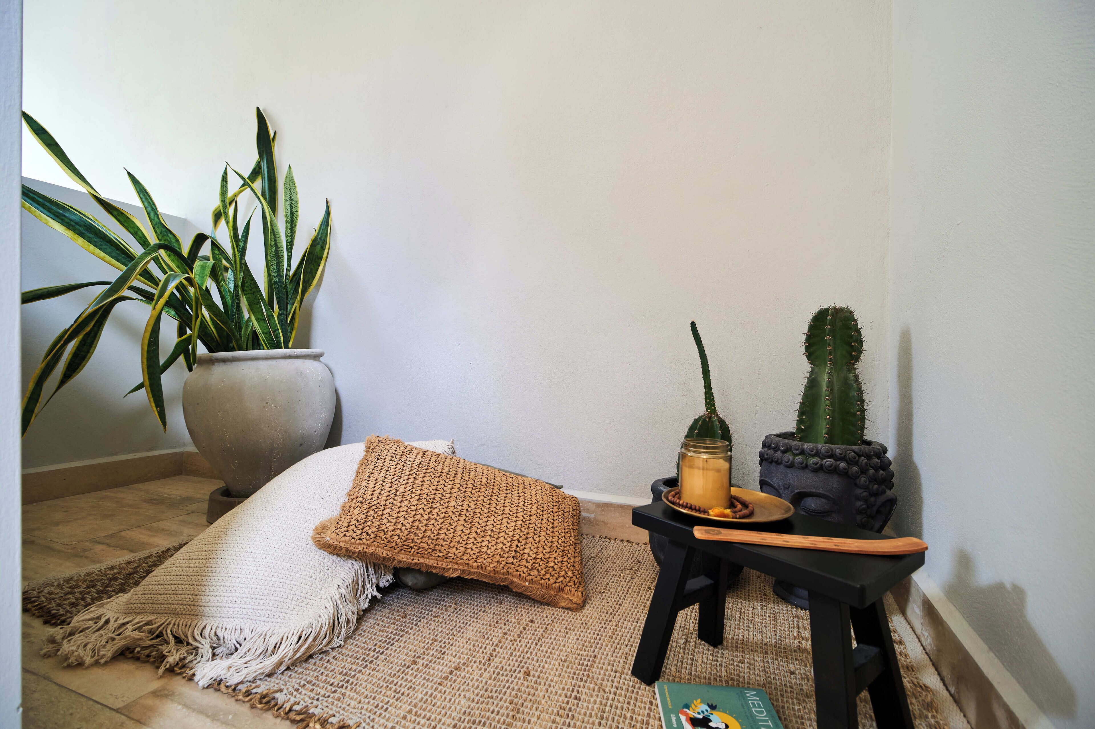 A corner of a room with a large potted plant, a small cactus, a woven pillow, and a small table with a candle and a book.