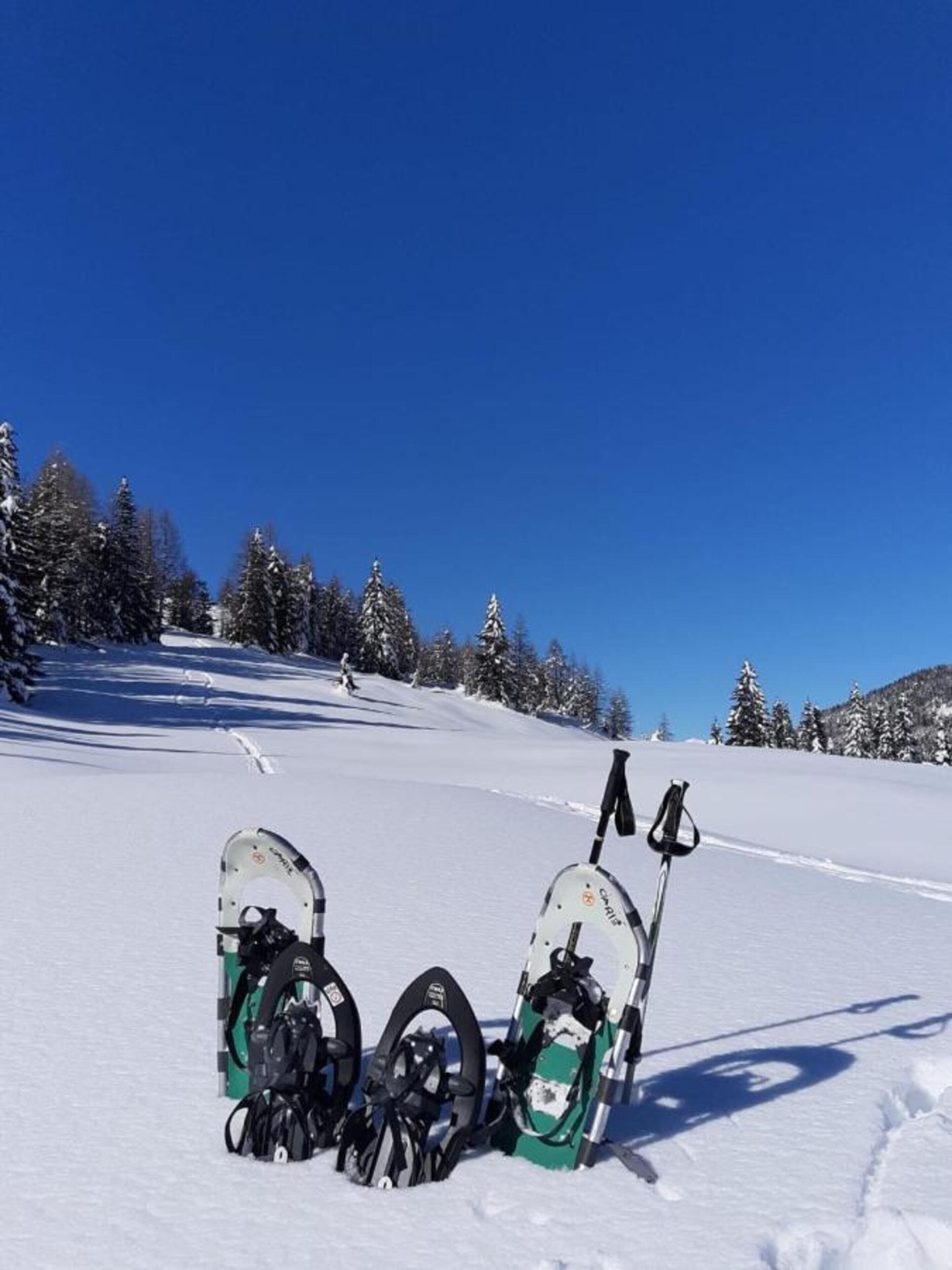 A snowy landscape with snowshoes and ski poles.