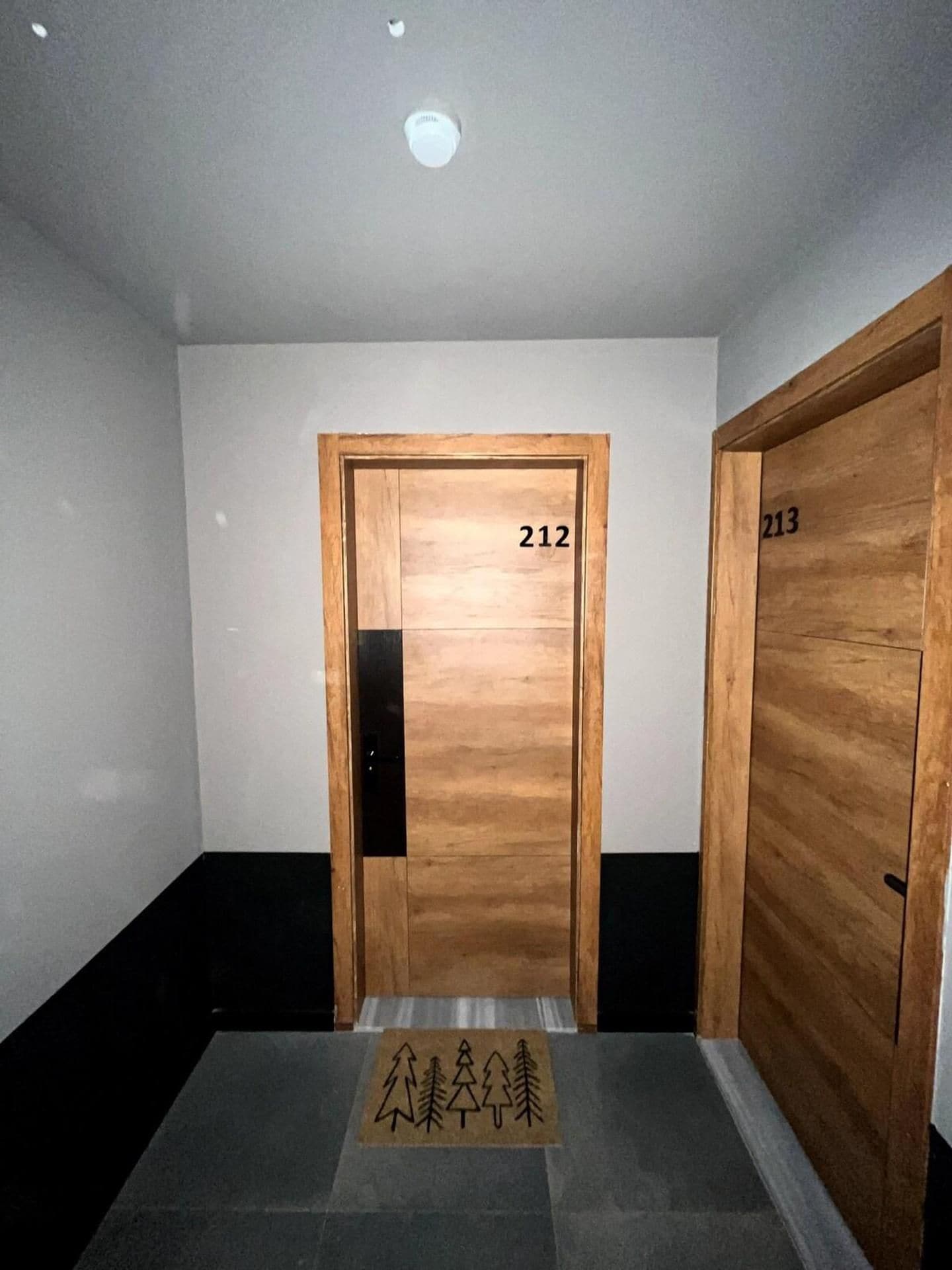 A hallway with two wooden doors, one labeled 212 and the other 213, leading to rooms.