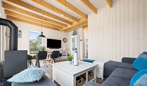 Tv, eldstad och en stereo