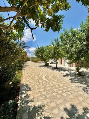 Garden - Menzel Yahia (Essouani)