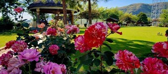 Orange Lake Resort Khanpur Pakistan