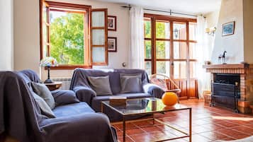 TV, fireplace, video games