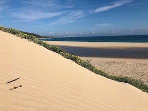 A beach with sand dunes and yellow flowers in the foreground. - Beautiful Coastal Retreat in Punta Paloma, Tarifa (Tarifa)