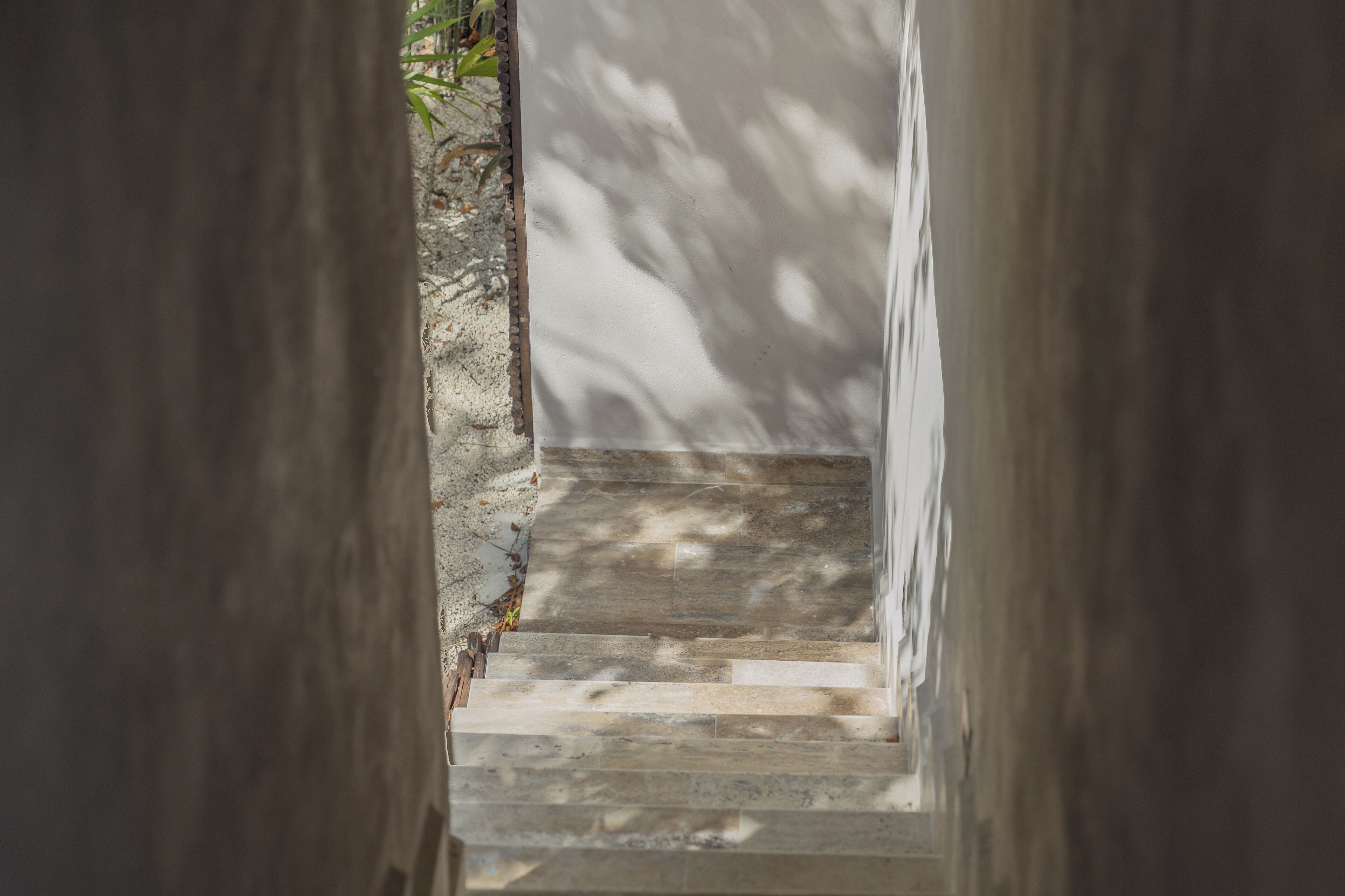 A stone staircase leading downwards, surrounded by walls and foliage.