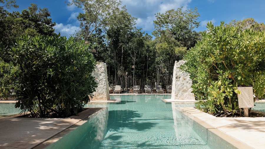DosSantas Wellness & Jungle by BT Homes