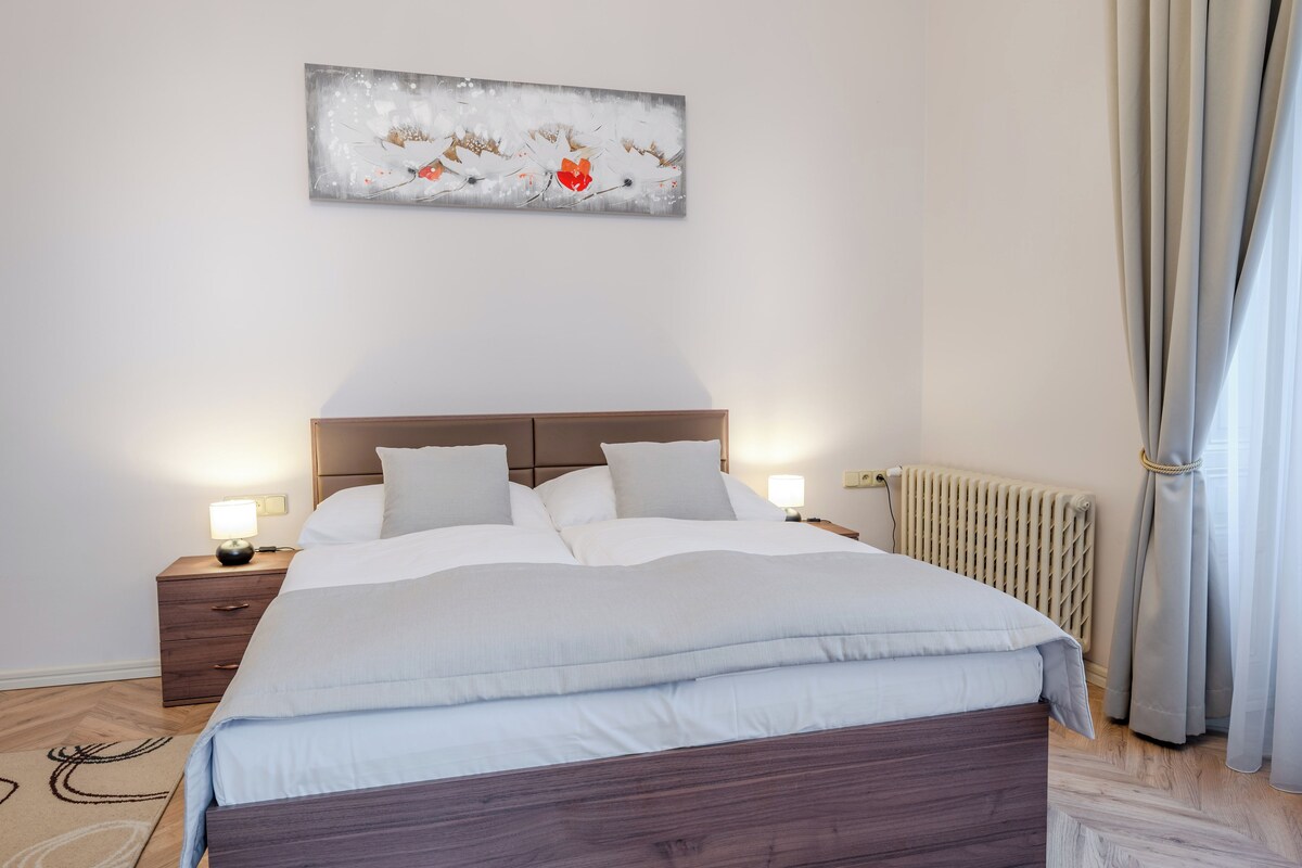 Apartment | Bügeleisen/Bügelbrett, kostenloses WLAN