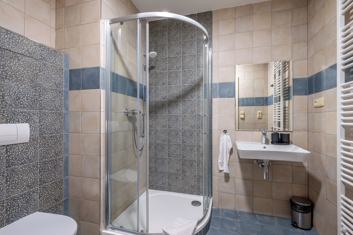 A modern bathroom with a glass shower enclosure, a white sink, and a mirror above it.