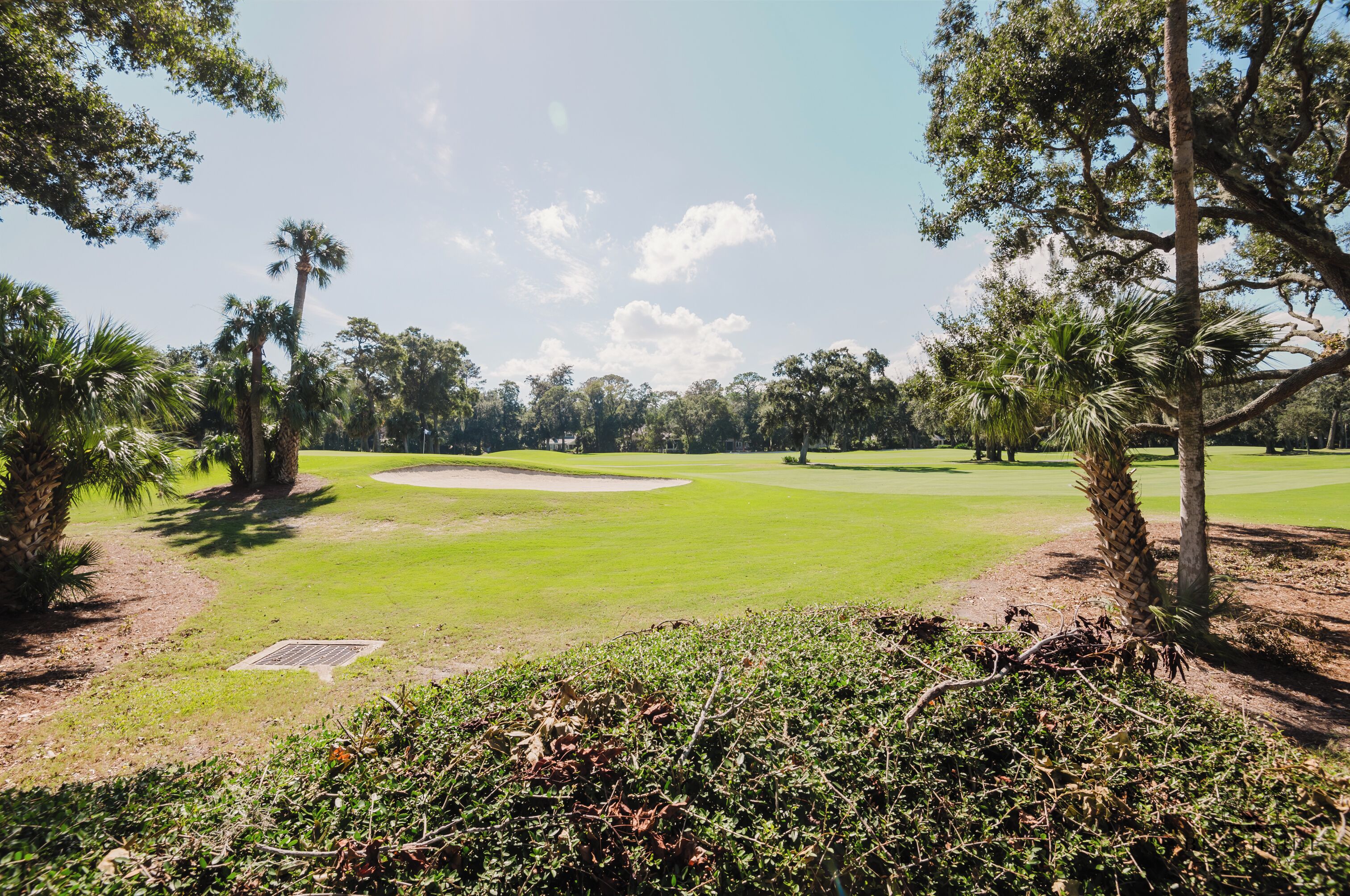 Um campo de golfe com um green bem cuidado, bunkers de areia e árvores ao redor.