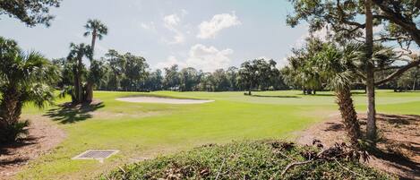 Um campo de golfe com um green bem cuidado, bunkers de areia e árvores ao redor.