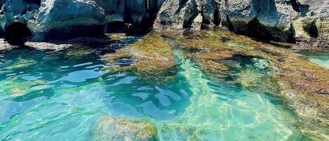 A rocky shoreline with clear water and a person standing on a rock.