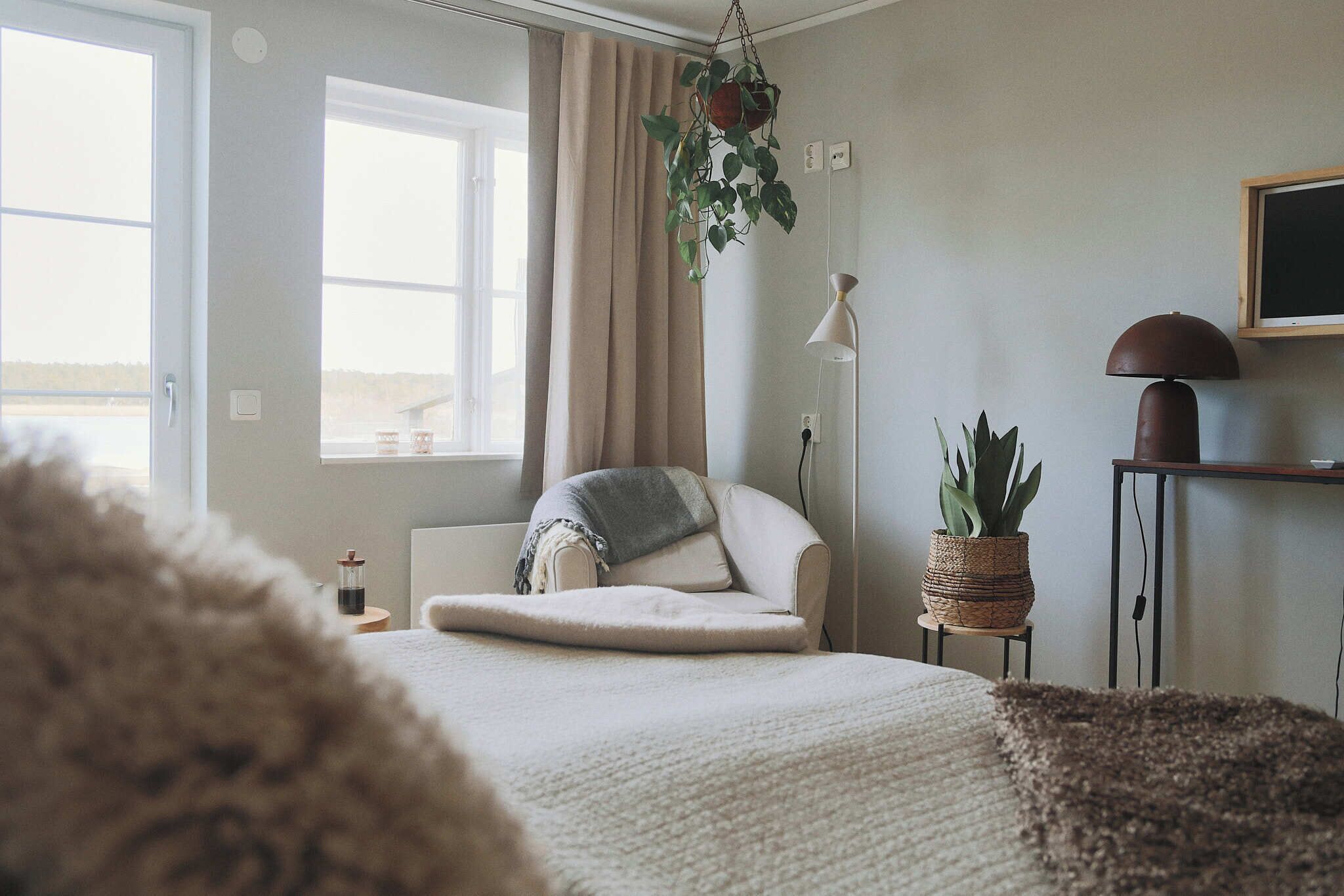 A bedroom with a bed, a window with curtains, a hanging plant, a lamp, and a television on a stand.