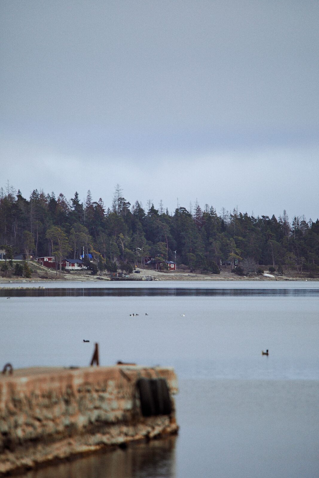 A calm lake with a forested shoreline and a few buildings in the background.